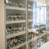 Netzwerk-Homoeopathie_DSF0543